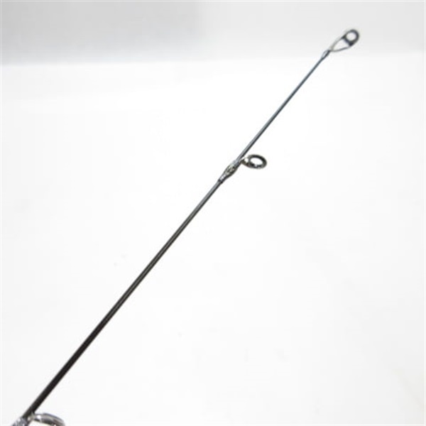 ２１ポイズングロリアス２６１０Ｌ－Ｓ